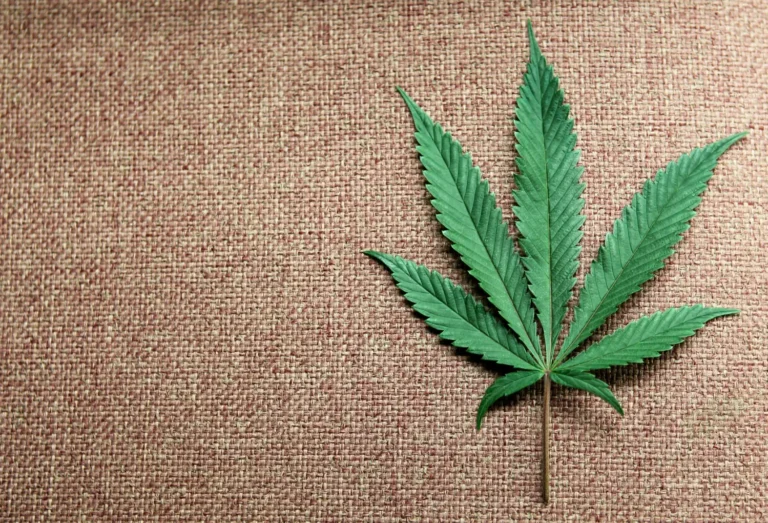CBD for wellness
