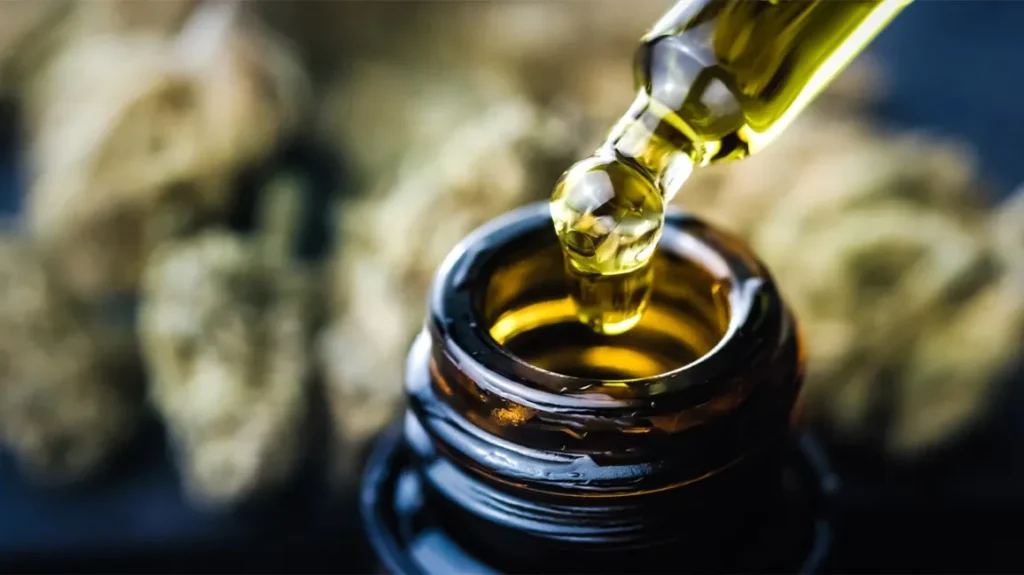 Understanding Traditional CBD Oil