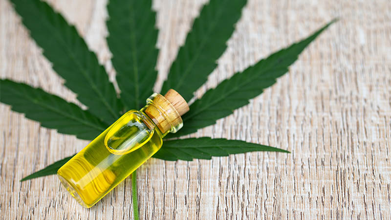 Water-Soluble CBD Oil vs Traditional CBD Oil Which Works Faster