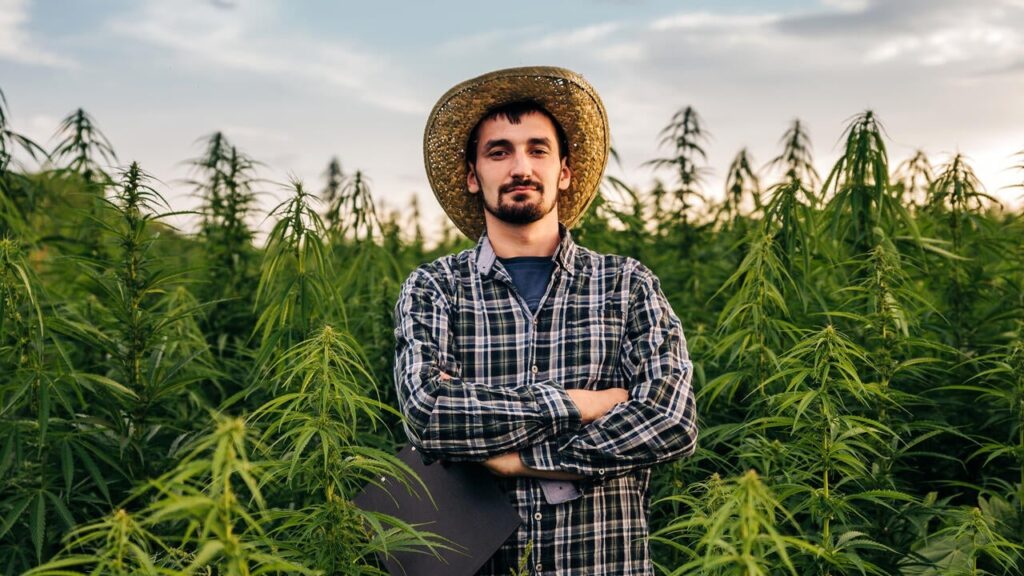 Cannabis Tourism in canada