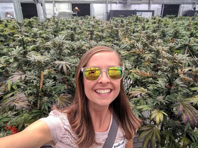 Cannabis Tourism